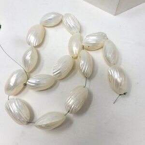 Double-Sided Jumbo Shell Beads Natural Shell  30 x 28 x 16 mm Luster